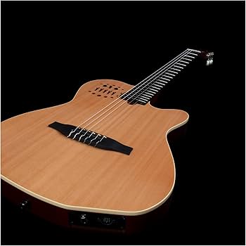 【クリーニング済】 Godin model Solidacゴダンエレキギター Amazon | Godin (ゴダン) エレガットギター ナイロンギター Multiac